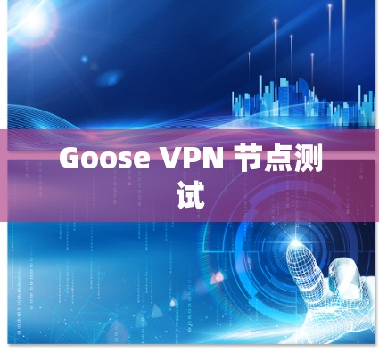 Goose VPN 节点测试