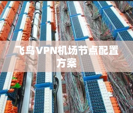 飞鸟VPN机场节点配置方案 飞鸟VPN机场节点配置方案