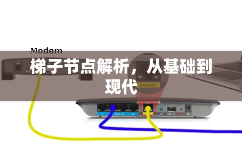 梯子节点解析,从基础到现代 梯子节点解析,从基础到现代