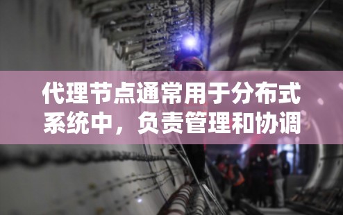 代理节点通常用于分布式系统中,负责管理和协调多个节点之间的数据传输和通信。代理节点的线路配置通常与网络层、数据链路层或数据传输层相关。以下是一些可能的代理节点线路配置和应用场景 代理节点通常用于分布式系统中,负责管理和协调多个节点之间的数据传输和通信。代理节点的线路配置通常与网络层、数据链路层或数据传输层相关。以下是一些可能的代理节点线路配置和应用场景