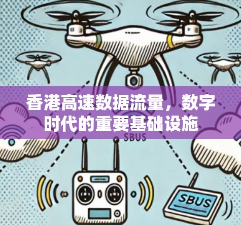 香港高速数据流量,数字时代的重要基础设施 香港高速数据流量,数字时代的重要基础设施