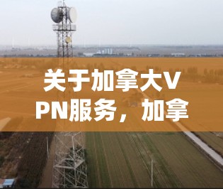 关于加拿大VPN服务,加拿大是全球知名的网络服务提供商,拥有许多网络安全的解决方案和VPN服务。以下是一些相关的信息 关于加拿大VPN服务,加拿大是全球知名的网络服务提供商,拥有许多网络安全的解决方案和VPN服务。以下是一些相关的信息