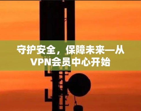 守护安全,保障未来—从VPN会员中心开始 守护安全,保障未来—从VPN会员中心开始
