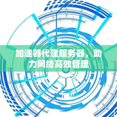加速器代理服务器,助力网络高效管理 加速器代理服务器,助力网络高效管理