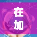 在加速器海外办公连接方面,以下是详细的步骤和建议 在加速器海外办公连接方面,以下是详细的步骤和建议