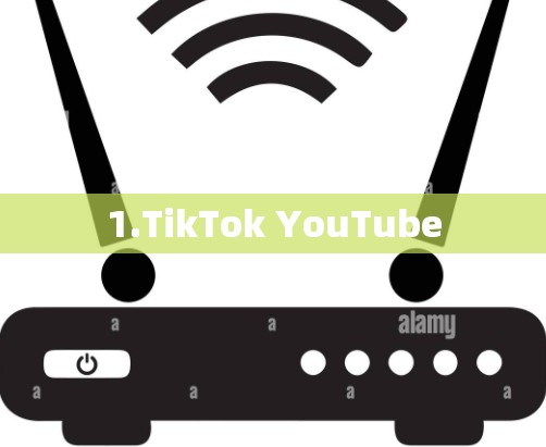 1.TikTok YouTube 1.TikTok YouTube