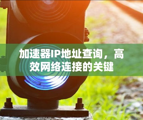 加速器IP地址查询,高效网络连接的关键 加速器IP地址查询,高效网络连接的关键