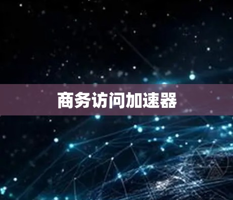 商务访问加速器 商务访问加速器