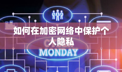 如何在加密网络中保护个人隐私 如何在加密网络中保护个人隐私