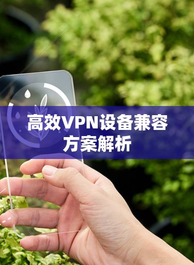 高效VPN设备兼容方案解析 高效VPN设备兼容方案解析
