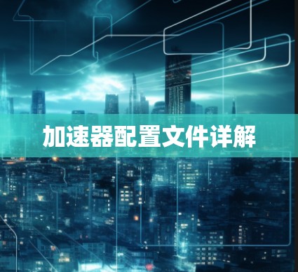 加速器配置文件详解